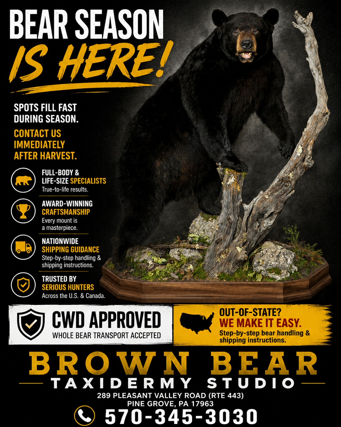 Out of state bear hunters contact Brown Bear Taxidermy Studio Pine Grove PA